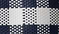 Navy-White Gingham
