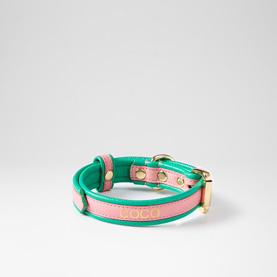 Two-Color Leather Dog Collar