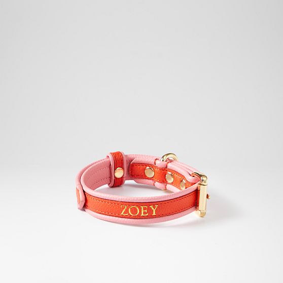 Two-Color Leather Dog Collar