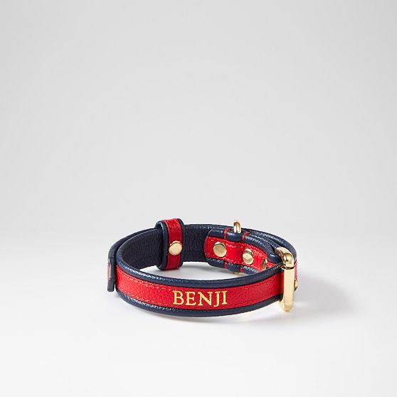 Two-Color Leather Dog Collar