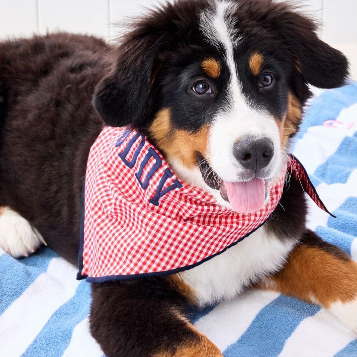 Patterned Dog Bandana