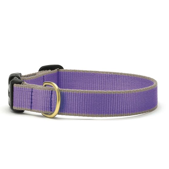 Color Market Collar