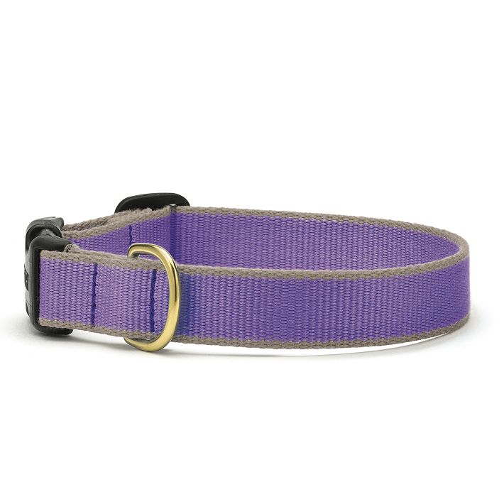 Color Market Collar