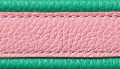 Pink-Green