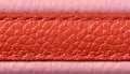 Poppy-Pink
