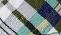 Gordon Plaid