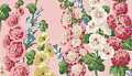 Hollyhocks Pink