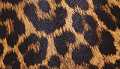 Natural Leopard