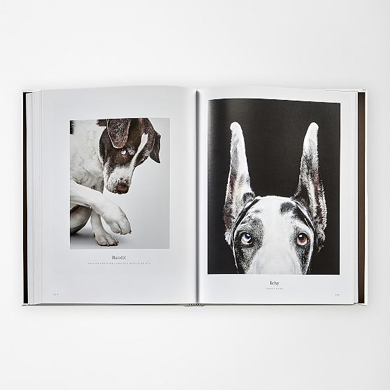 &ldquo;Good Dog&rdquo; Personalized Book