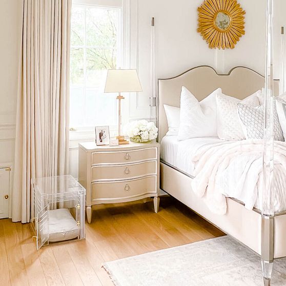 Hiddin Lucite Pet Crate with Cushion