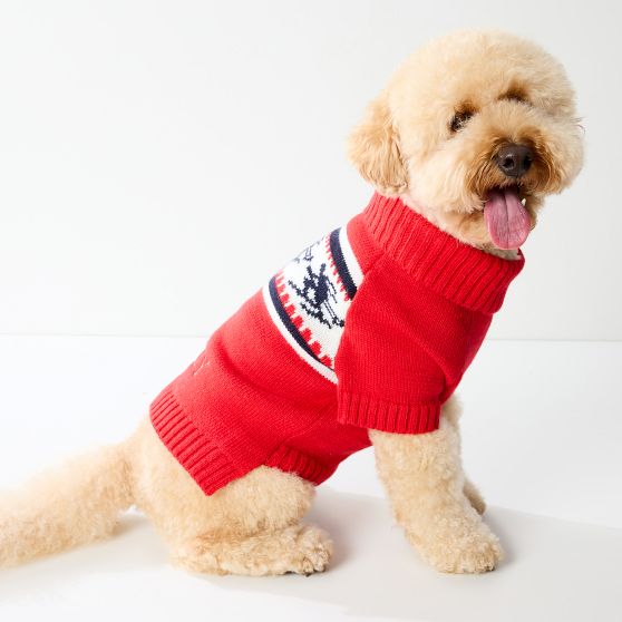 Knit Dog Sweater