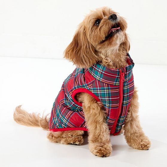 Quilted Puffer Dog Jacket