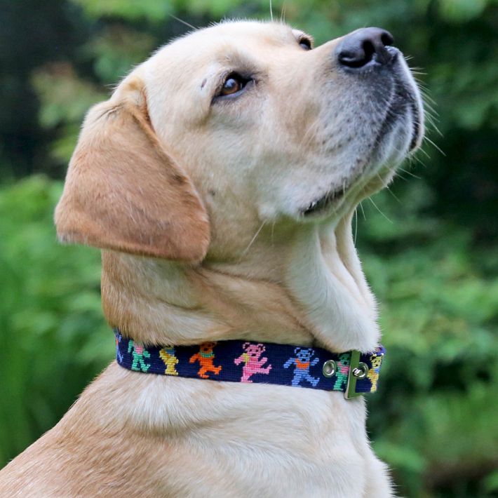 Smathers & Branson Needlepoint Dog Collar | Mark and Graham