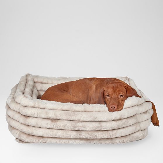 Cozy Dog Lounge Bed