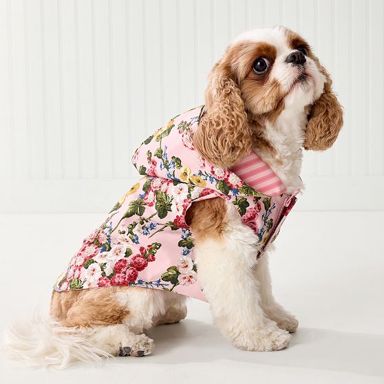 Sanderson Dog Rain Jacket