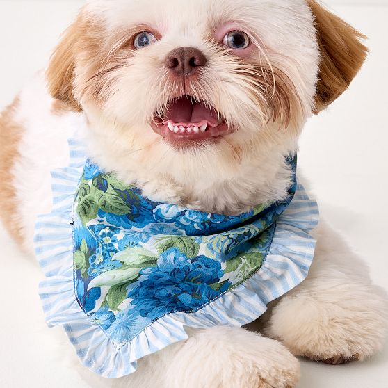 Sanderson Ruffle Dog Bandana