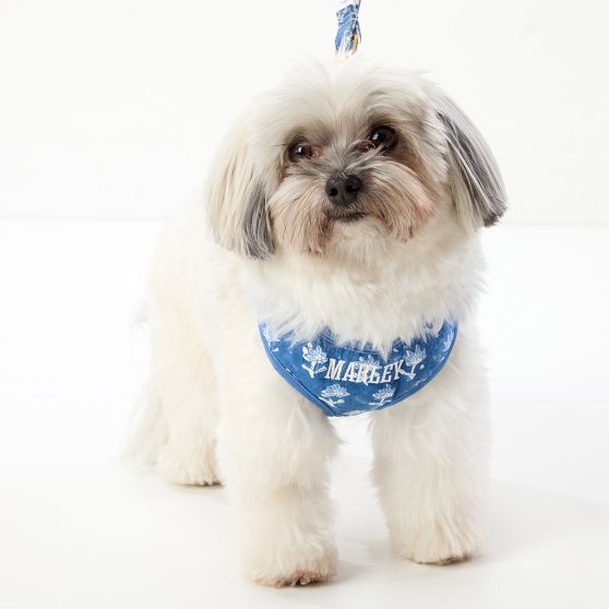 Block Print Dog Harness