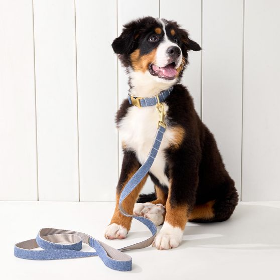 Hand Embroidered Linen Dog Leash