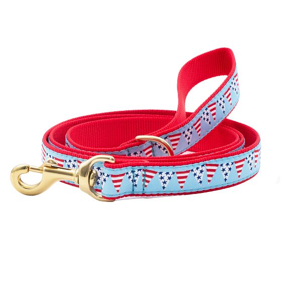 Patterned Ribbon Leash