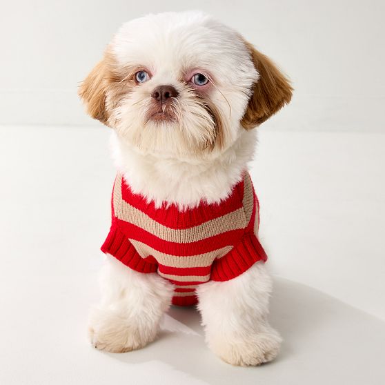 Striped Dog Sweater