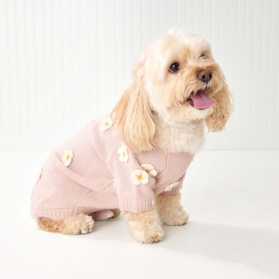 Embroidered Daisy Dog Sweater