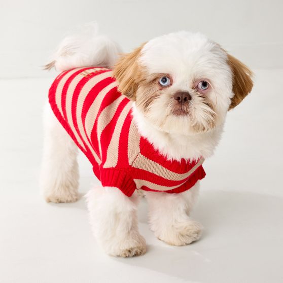 Striped Dog Sweater
