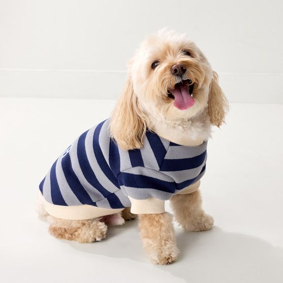 Striped Dog Sweatshirt