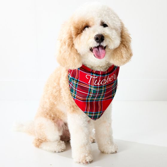 Patterned Dog Bandana