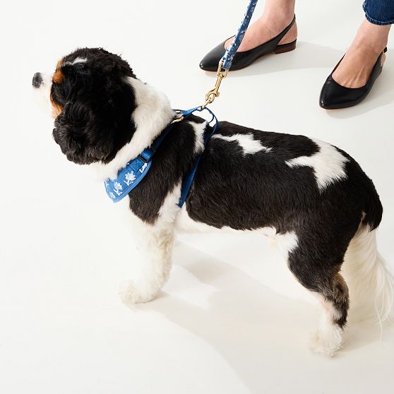 Block Print Dog Harness