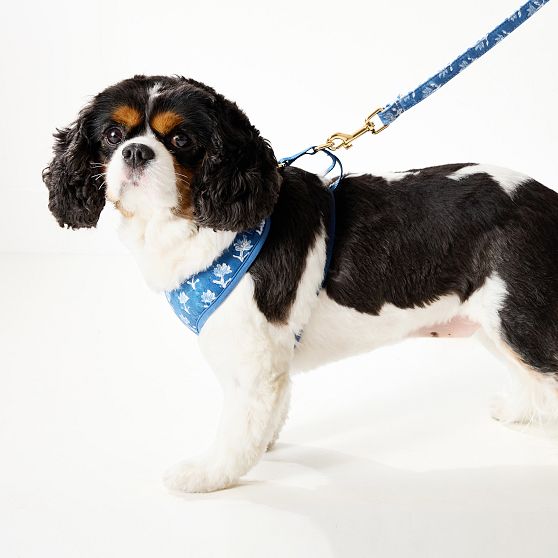 Block Print Dog Harness