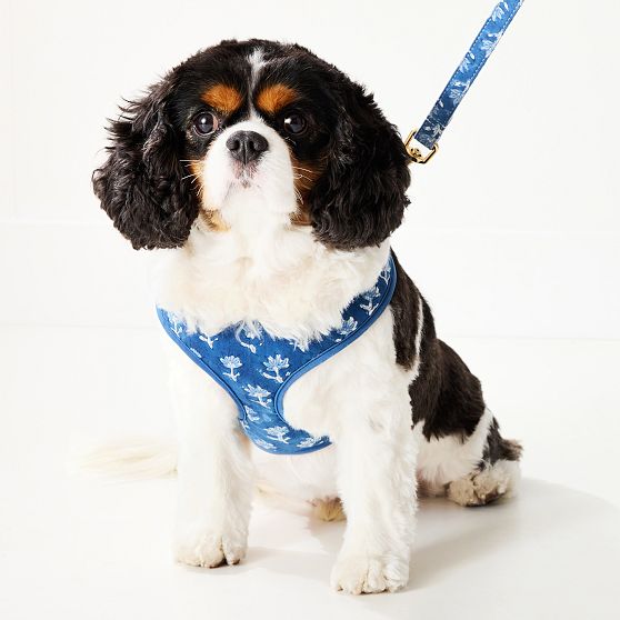 Block Print Dog Harness