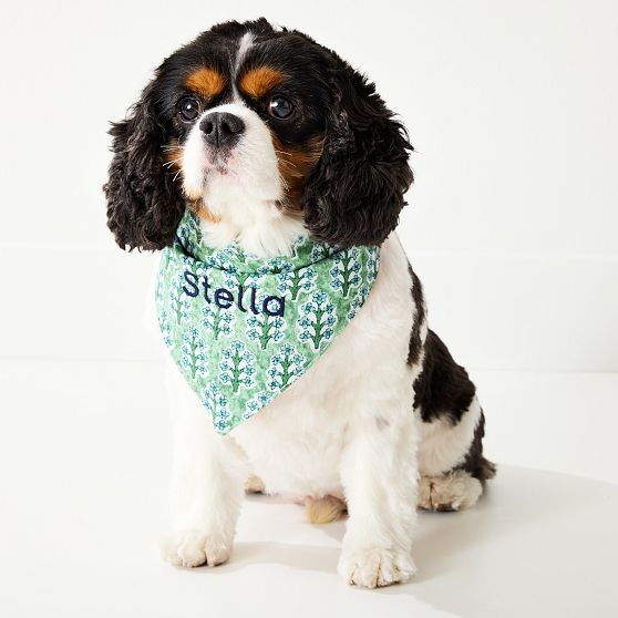 Patterned Dog Bandana