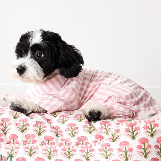 Pet Pajamas