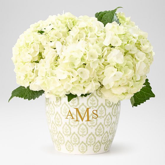 Sanderson Ceramic Ginger Jar