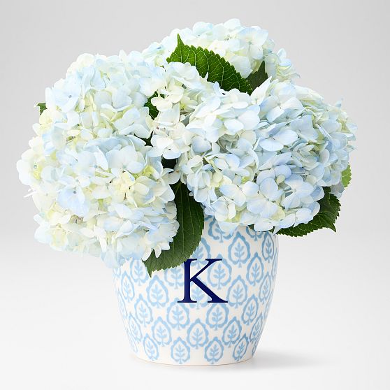 Sanderson Ceramic Ginger Jar