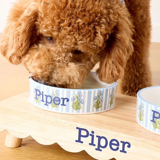 Ceramic Pet Bowl