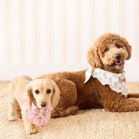 Ruffle Dog Bandana