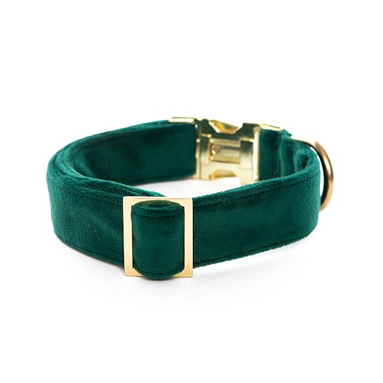 The Foggy Dog Velvet Collar