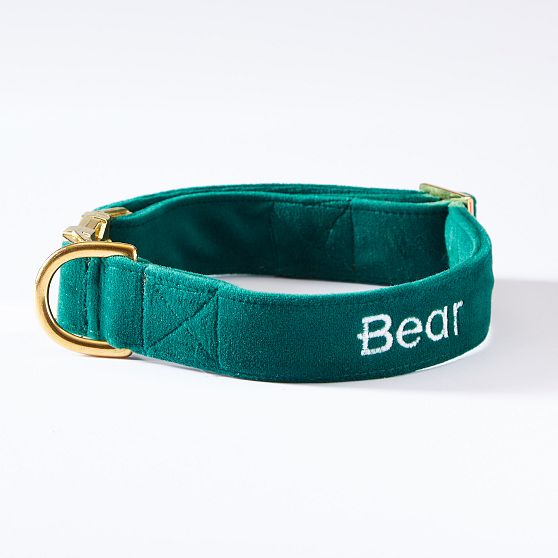 The Foggy Dog Velvet Collar