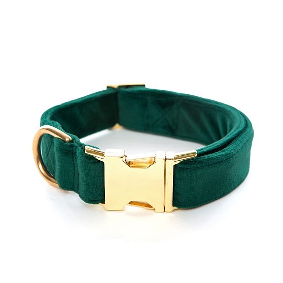 The Foggy Dog Velvet Collar
