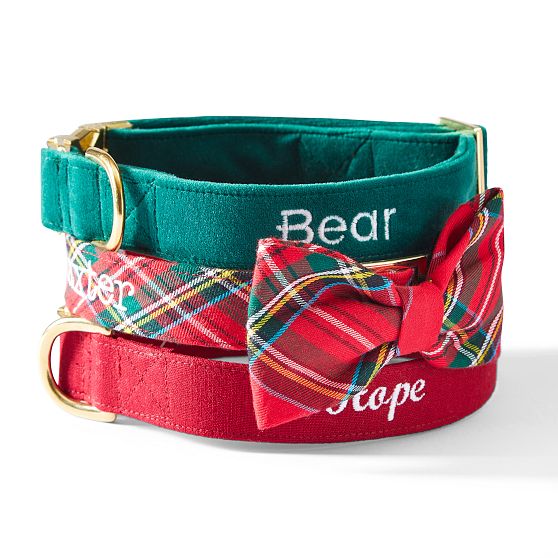 The Foggy Dog Velvet Collar