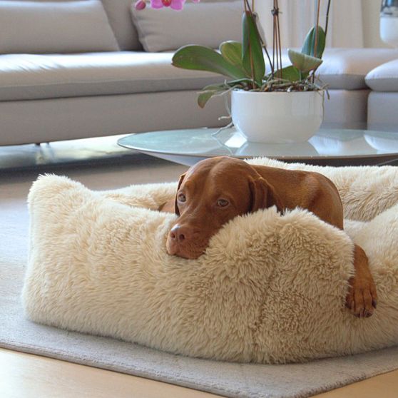 Cozy Dog Lounge Bed