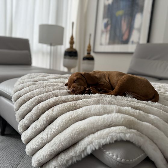 Cozy Pet Couch Blanket