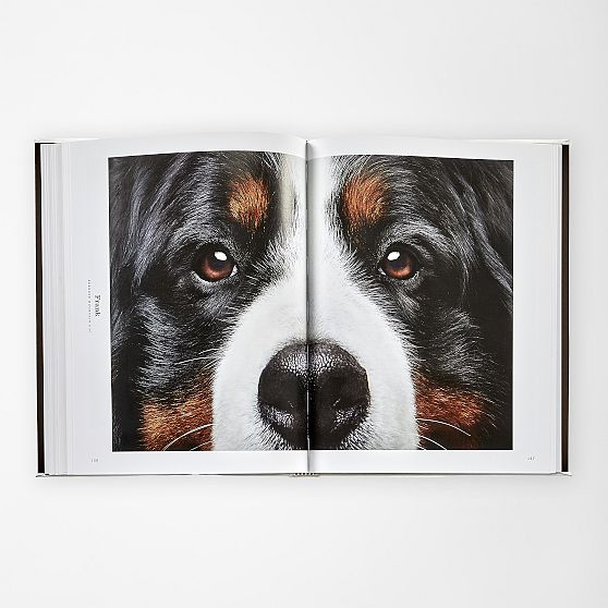 &ldquo;Good Dog&rdquo; Personalized Book