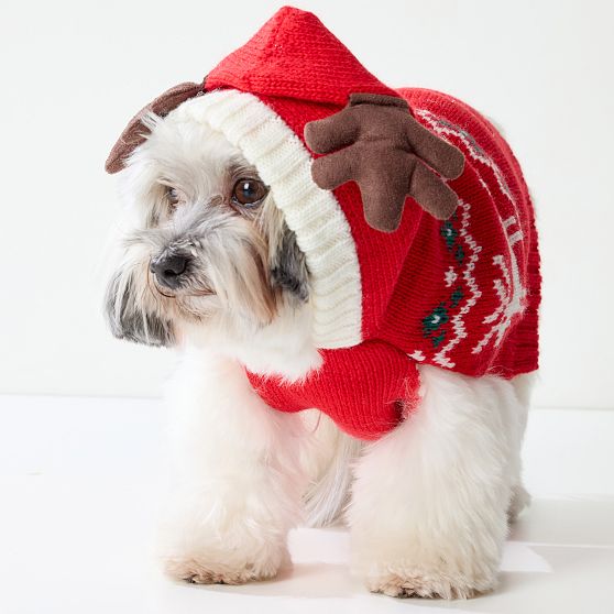 Reindeer Hooded Dog Sweater