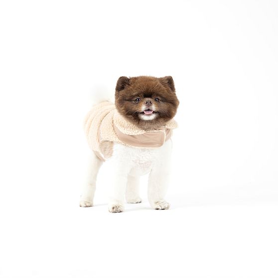 Shearling Dog Coat