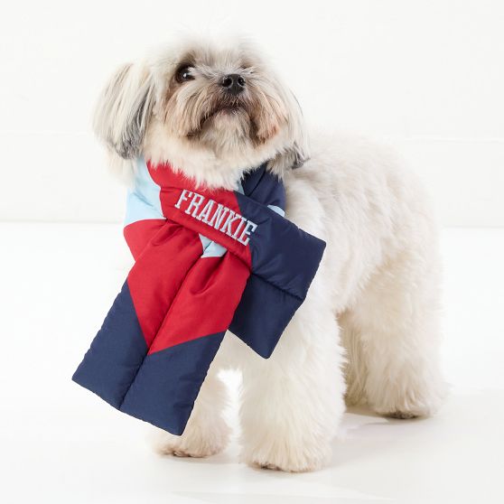 Puffer Dog Scarf