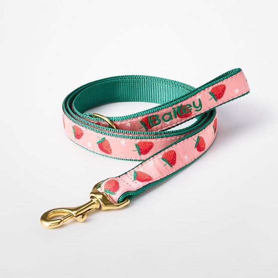 Patterned Ribbon Leash
