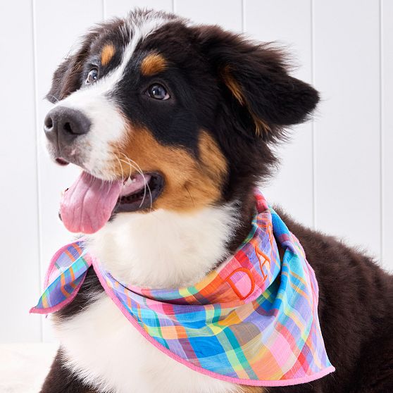 Patterned Dog Bandana