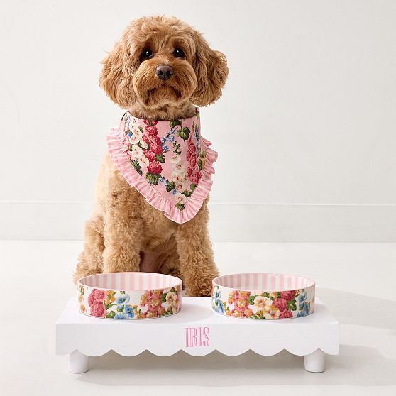 Sanderson Ceramic Pet Bowl